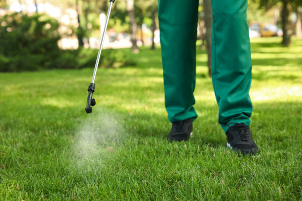 Best Mosquito Control Services  in Rosemount, OH